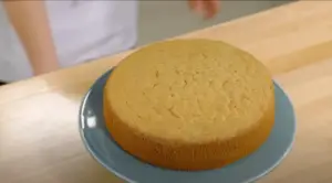 fluffy sponge cake recipe